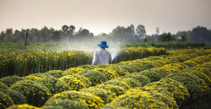 produção rural