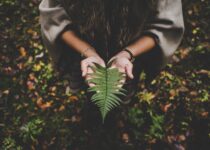 sustentabilidade