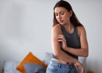 Principais causas de doenças transmitidas por insetos no Brasil